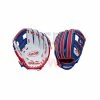 Wilson A200 10WRBR 10" Youth Baseball Glove