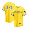 Nike Boston Red Sox City Connect David Ortiz Jersey
