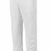 Mizuno Youth Premier Pro Pant G2
